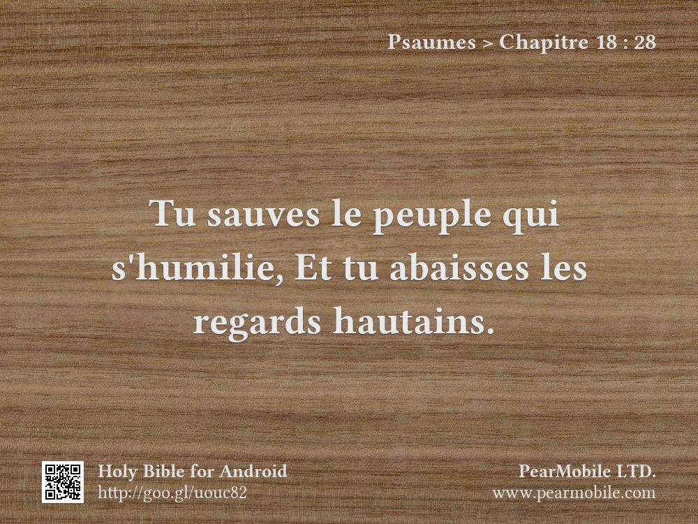 Psaumes, Chapitre 18:28